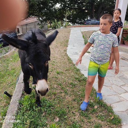 La Gallina Nel Castello Citr Oo9002-Beb Oo11 Albenga Ngoại thất bức ảnh
